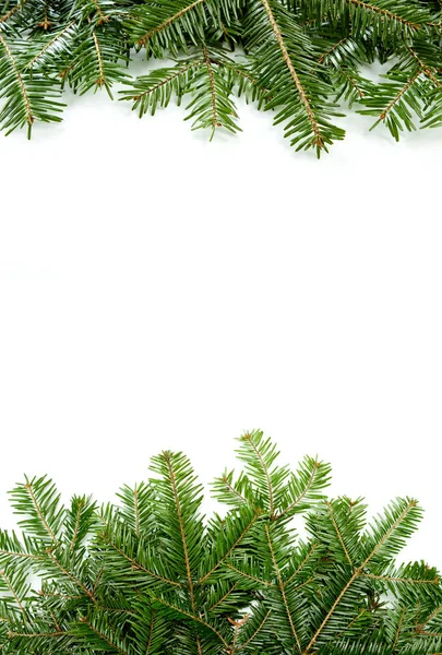 圣诞绿色框架与副本空间分离白色背面 — 图库照片