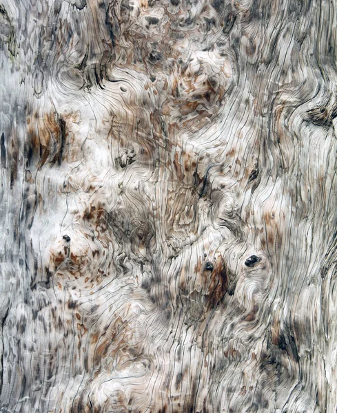 Деревянная текстура Фон для проекта оформления . — стоковое фото