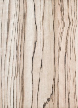 arkaplan için eski ahşap dokusu.