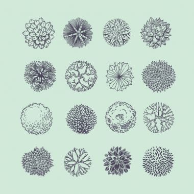 Farklı bitki ve ağaçlar set peyzaj tasarımı için vektör