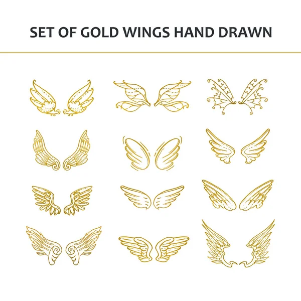 Hand Drawn vleugels. Verzameling van ontwerpelementen. Vectorillustratie. — Stockvector
