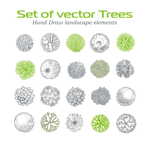 Различные векторные наборы растений и деревьев для ландшафтного дизайна — стоковый вектор