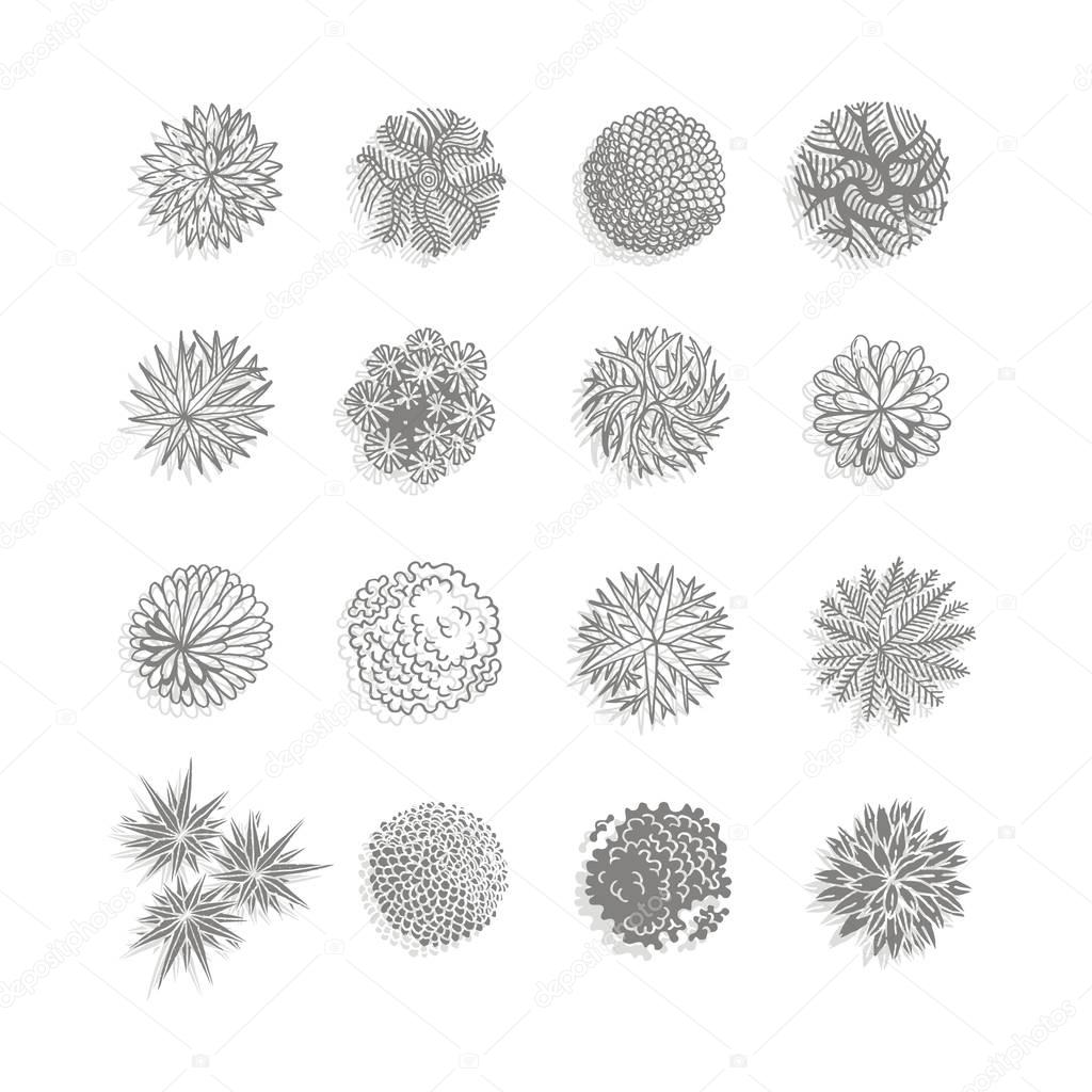 Different plants and trees vector set for landscape design