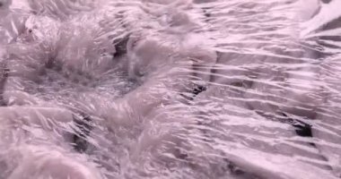 Tutkal filminde taze çiğ domuz eti dilimleri mutfak çekiçiyle dövülür.