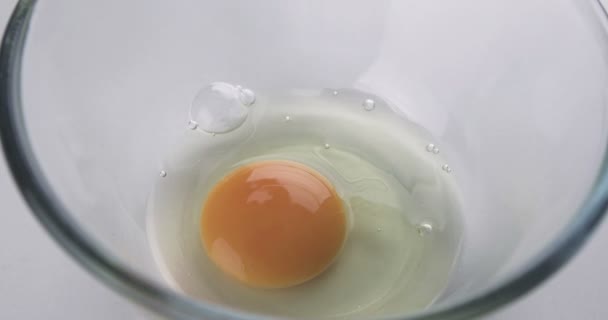 Beating Eggs Electric Mixer Glass Bowl — Stock Video