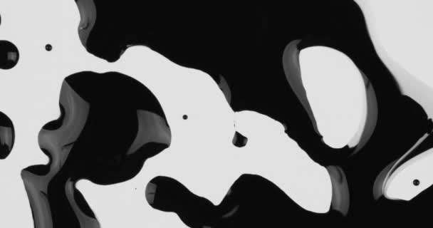 Zwarte Inkten Druppels Witte Achtergrond — Stockvideo