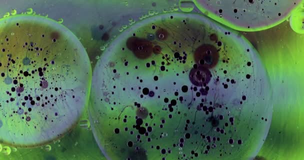 在液体中移动氧气气泡 美丽的宏观水系结构 自然的背景 — 图库视频影像