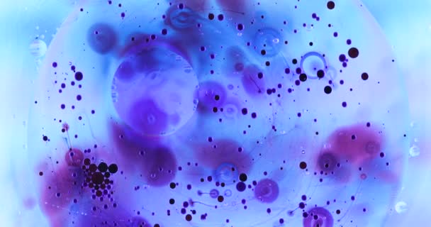 Pohyb Kyslíku Bubliny Kapalině Krásná Struktura Vody Makro Přirozeném Pozadí — Stock video