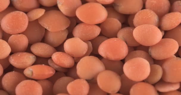 赤色のレンズ豆の回転 食品の背景 — ストック動画
