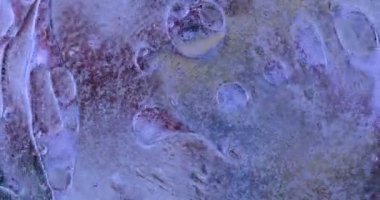 Hareket eden oksijen kabarcıkları bir sıvının içinde. Makrodaki suyun güzel yapısı doğal bir arka plan.