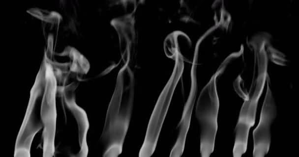 Füst Háttér Fehér Füst Lebeg Űrben Fekete Háttér — Stock videók