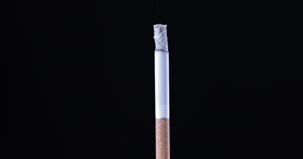 Пом Якшувальна Сигарета Чорному Тлі Дим Цигарки — стокове відео