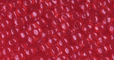 Kırmızı havyar arka planda döndü. Somon havyarı. Rotasyonu kapat.