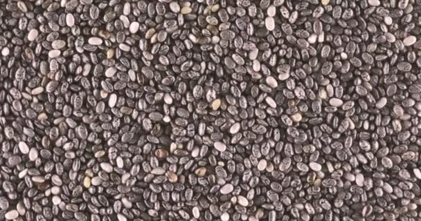 Chia Seeds Close Food Background — Stock Video