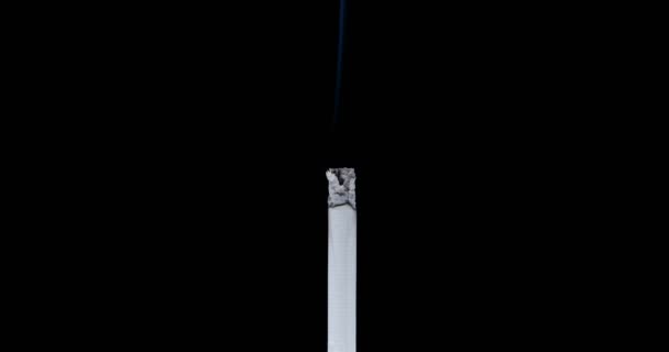 Schwelende Zigarette Auf Schwarzem Hintergrund Rauch Von Einer Zigarette — Stockvideo