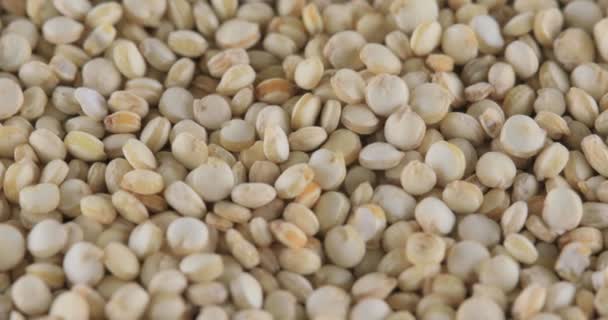 Rotação Macro Quinoa Sementes Fundo — Vídeo de Stock