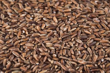 Çiğ, cilalanmamış kahverengi pirinç.