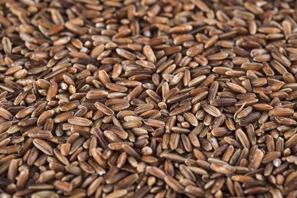 Dry raw unpolished brown rice