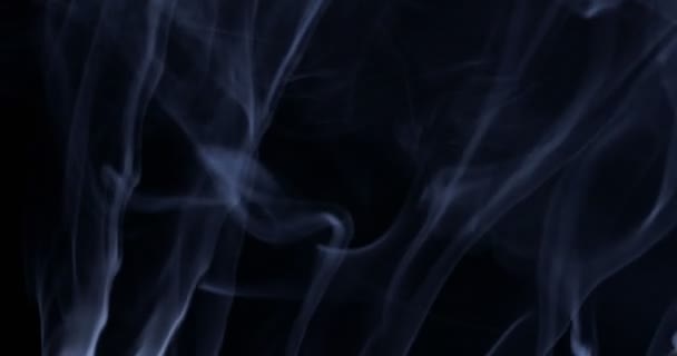 Smoke Background White Smoke Floating Space Black Background — Stock Video