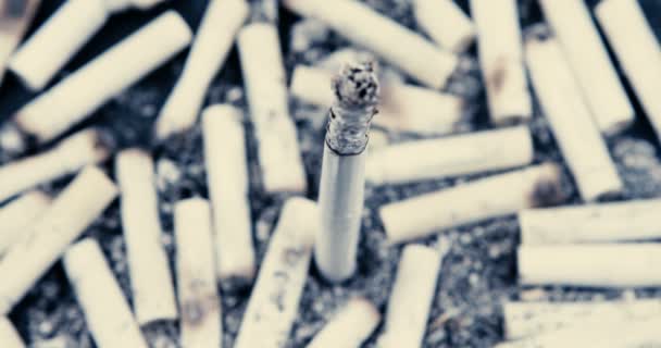 Primer Plano Ceniza Cigarrillo Día Mundial Sin Tabaco — Vídeos de Stock