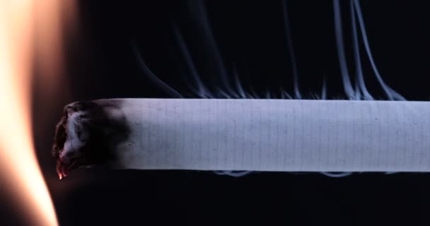 Cigarett Svart Bakgrund Närbild — Stockvideo