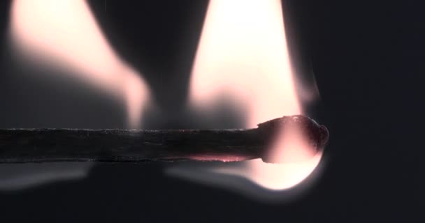 Allumez l'éclairage et la combustion jusqu'à la fin et disparaît enfin de la flamme sur fond noir 