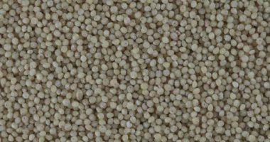 Döndürme Makro Quinoa Tohumları Arkaplanı