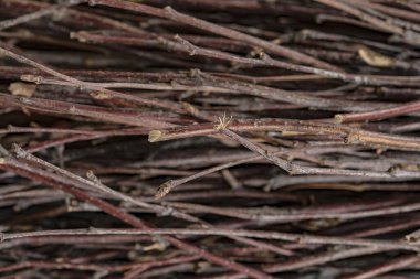 Arkaplan dokusu olarak ağaç dallarının oluşturduğu yığın.