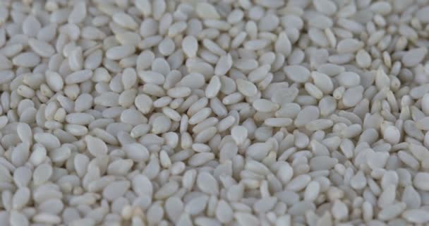 Rotation graines de sésame bio blanches 