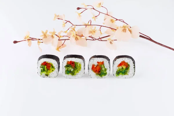Sushi Sakura Sprig Jasnym Tle — Zdjęcie stockowe