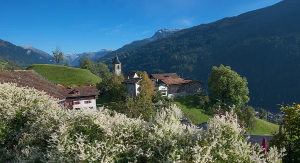 Mooi Alpien dorp luzein, praettigau — Stockfoto