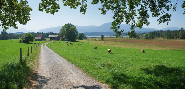 Radweg rund um den Staffelsee, ländliche Landschaft Bayern — Stockfoto