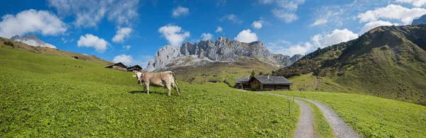 Πανοραμική τοπίο Ελβετία με καμπίνες και αγελάδες σχετικά με το pastu — Φωτογραφία Αρχείου
