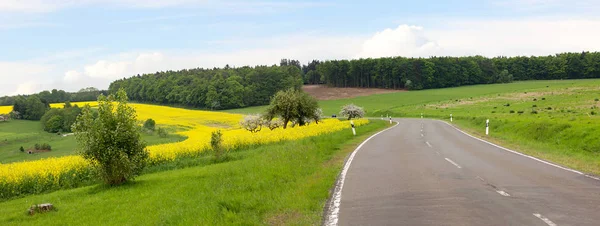Проселочная дорога через холмистый ландшафт, цветущее рапсовое поле в с — стоковое фото