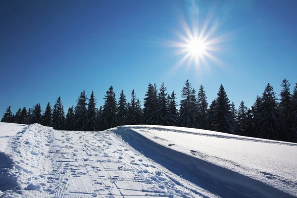 在阳光明媚的冬日远足路线 — 图库照片