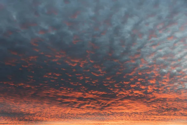 Céu com pequenas nuvens fleecy e pôr do sol afterglow — Fotografia de Stock