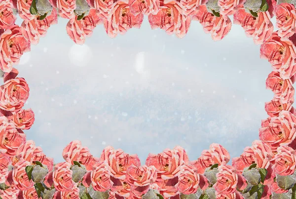 Fond d'hiver avec cadre de roses givrées — Photo