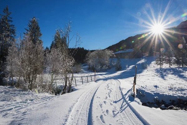 Droga w winter wonderland w jasny, słoneczny dzień — Zdjęcie stockowe