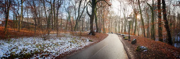 Forêt au début de l'hiver, forteresse médiévale en arrière-plan — Photo