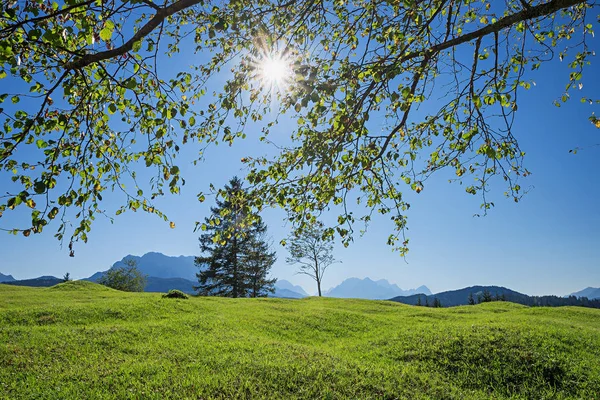 バイエルン ・ アルプス、明るい春 landscap に曲がった牧草地 — ストック写真