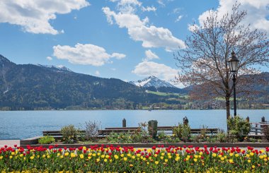 bahardalı flowerbed spa town tegernsee, göl kıyısı benc ile