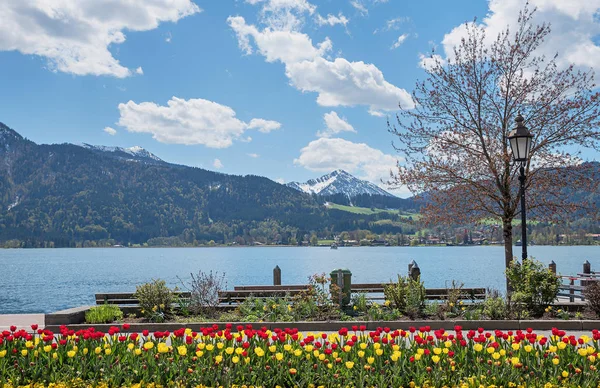 Frühlingshaftes Blumenbeet am Tegernsee, Seeufer mit Sitzbank — Stockfoto