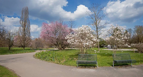 Primavera no parque da cidade Munique leste — Fotografia de Stock