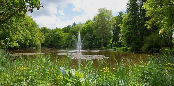 Idyllic pond with fountain and globeflowers at springtime — Stock Photo, Image