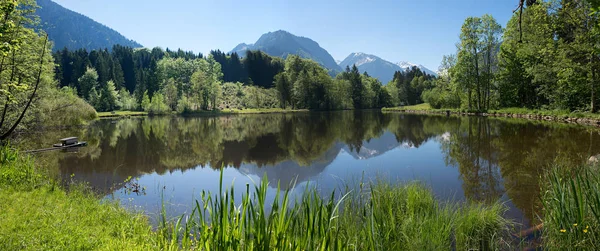 Idyllischer moorsee bei oberstdorf und blick auf die allgäuer alpen — Stockfoto