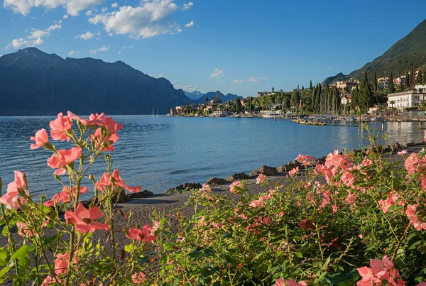 Beautiful malcesine lakeside promenade with blooming roses — Stock Photo, Image