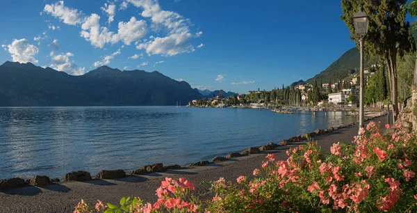 Beautiful malcesine lakeside promenade with blooming rose flowrb — Stock Photo, Image