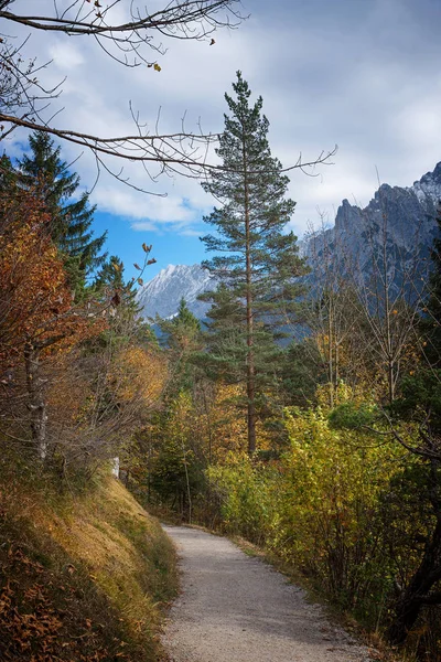 Itinéraire de randonnée à travers la forêt de montagne automnale — Photo