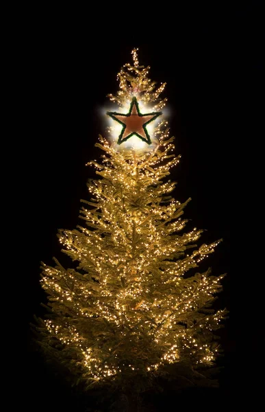 Beleuchteter Weihnachtsbaum in der Nacht — Stockfoto