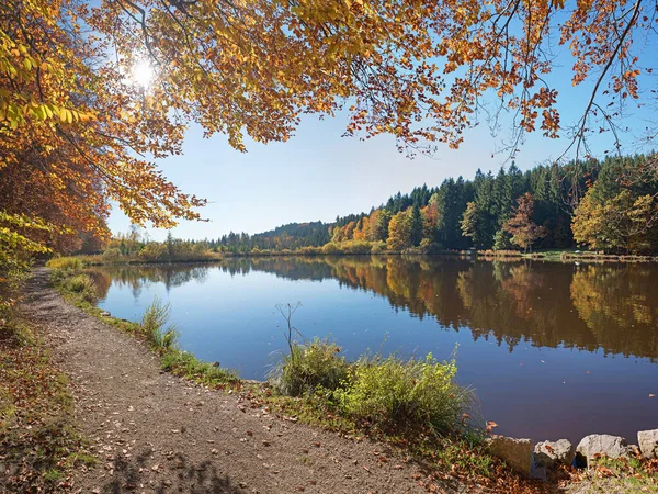 Golden autumn dekoracje nad jeziorem moor — Zdjęcie stockowe